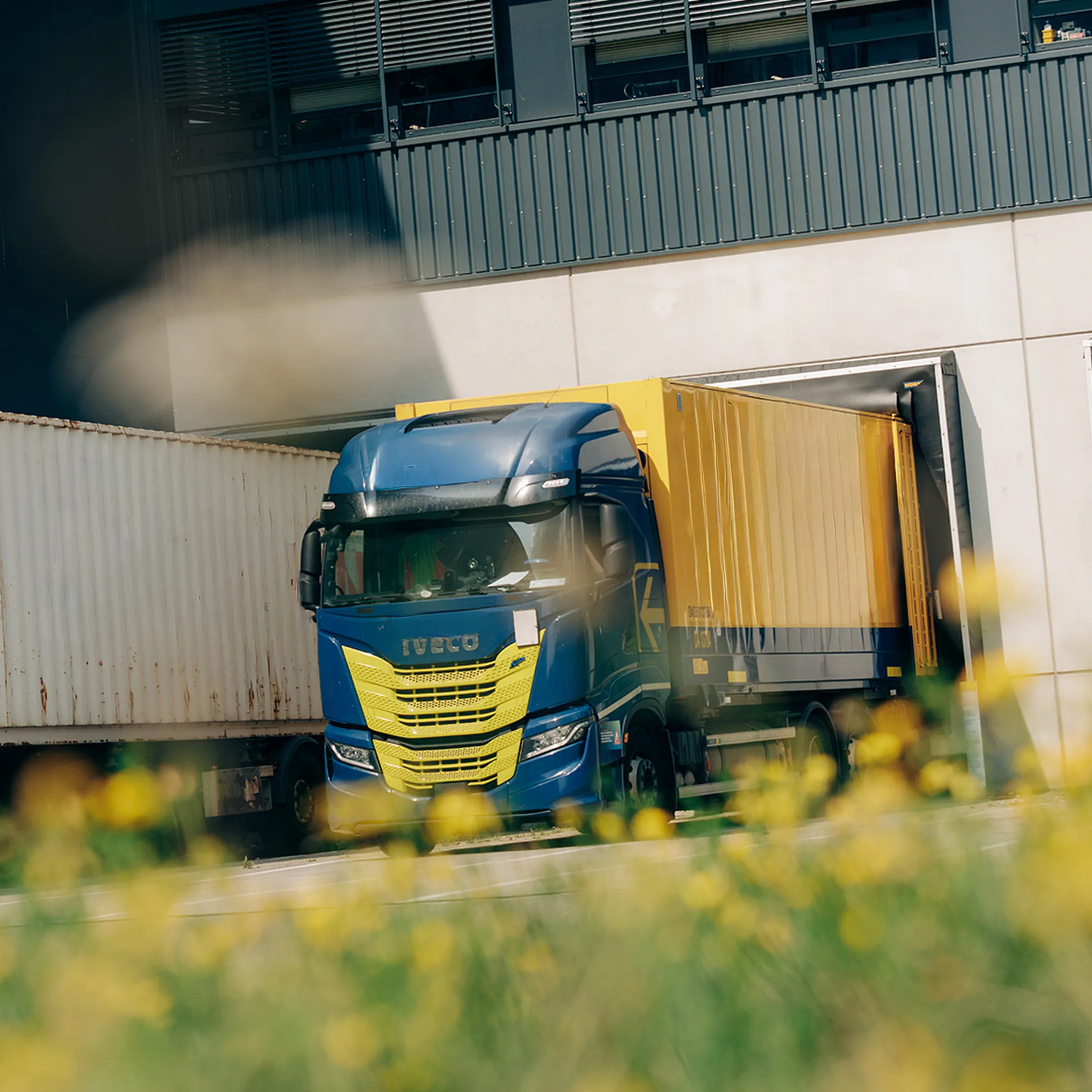 Adam hall group balancing