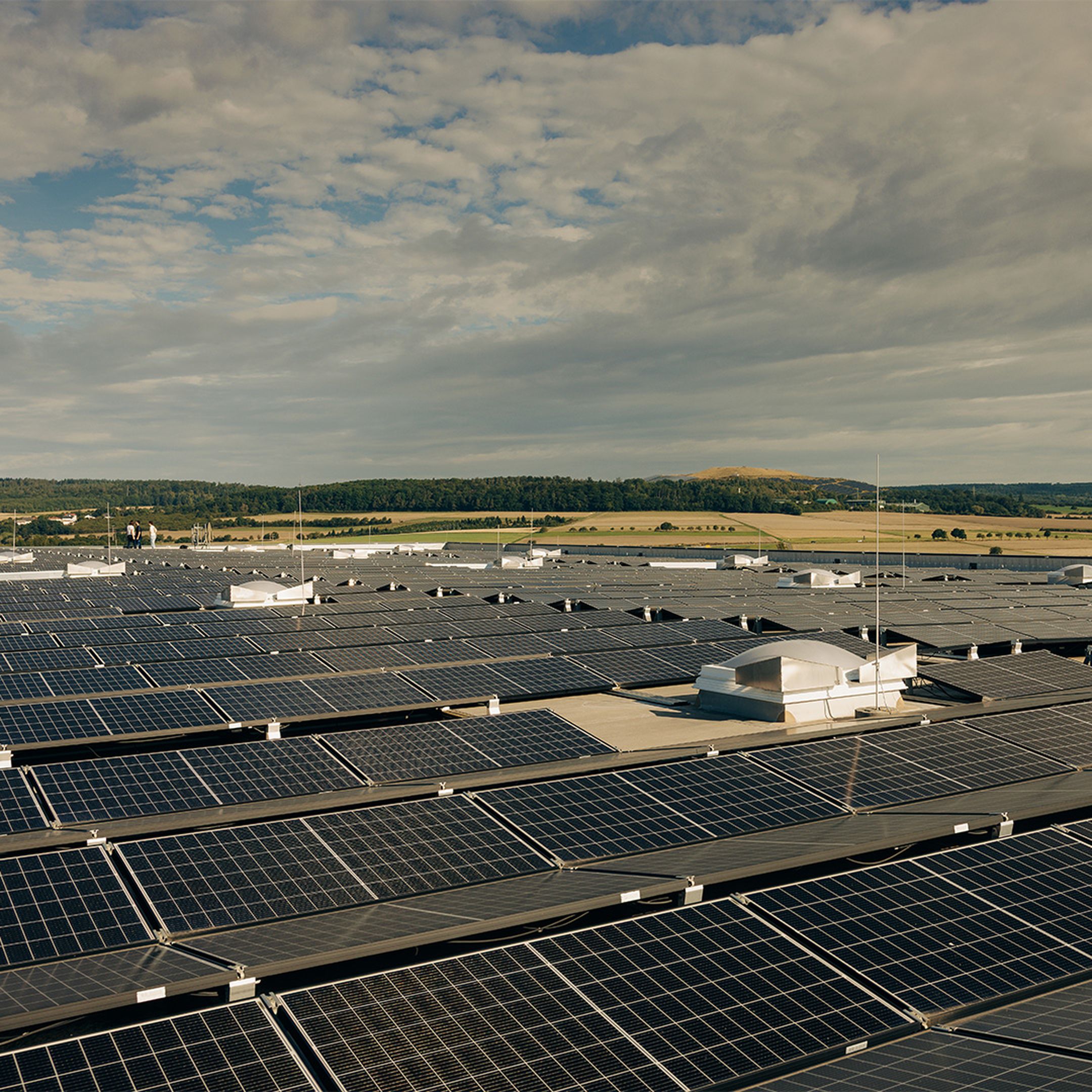 Adam hall group conviction