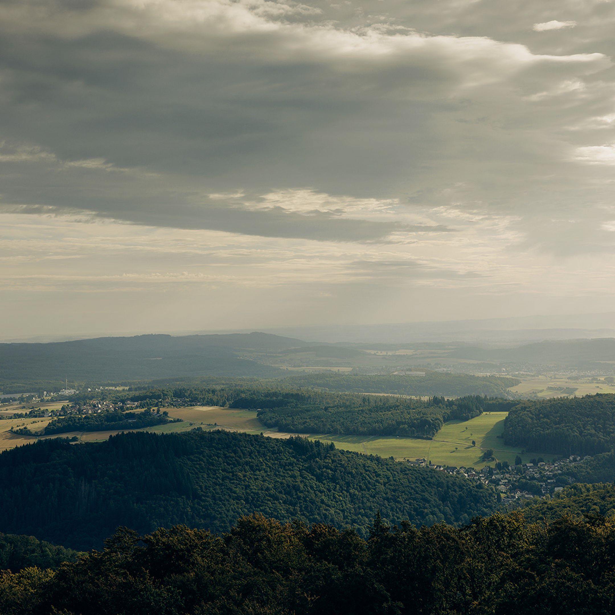 Adam hall group wood heat