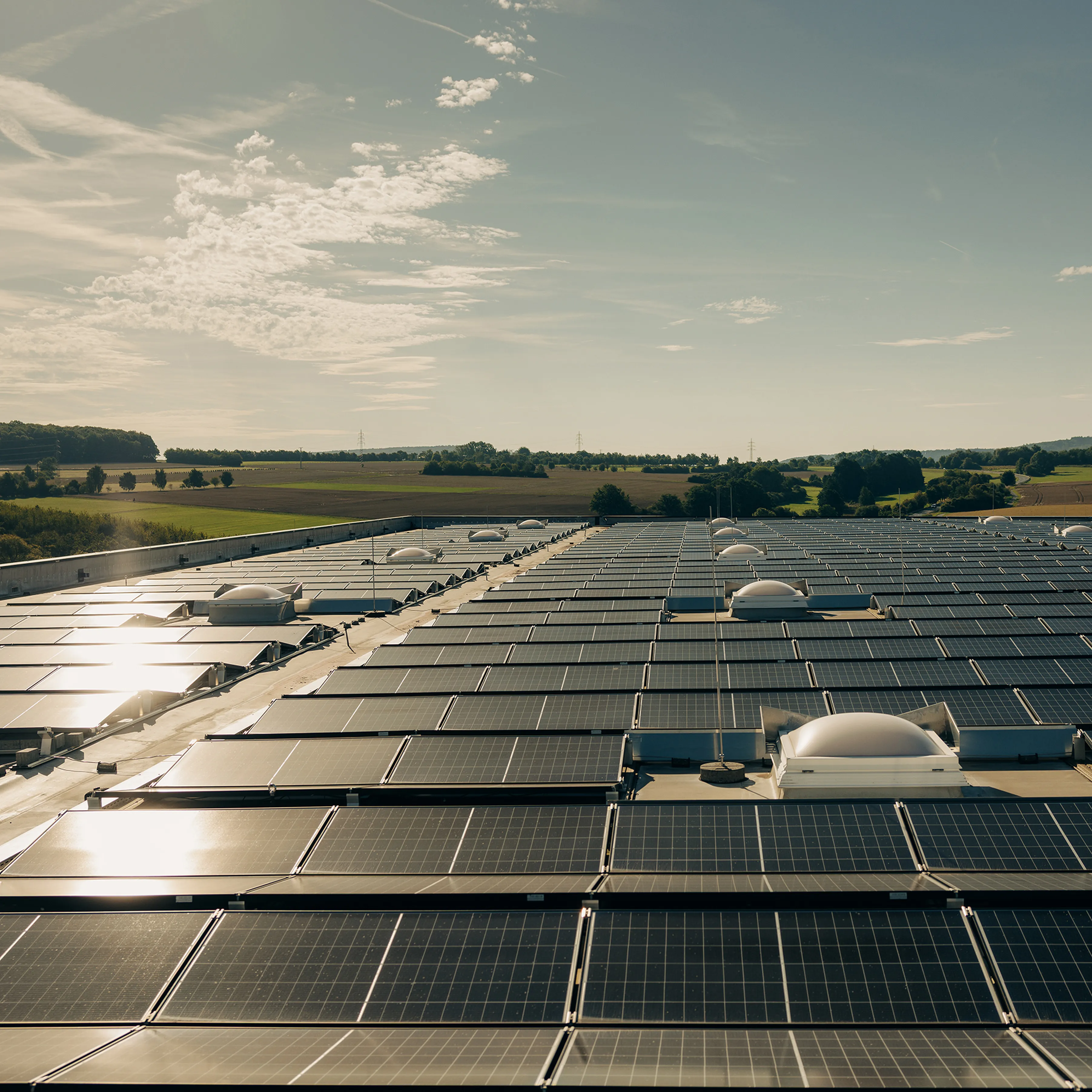 Adam hall group pv 1x1