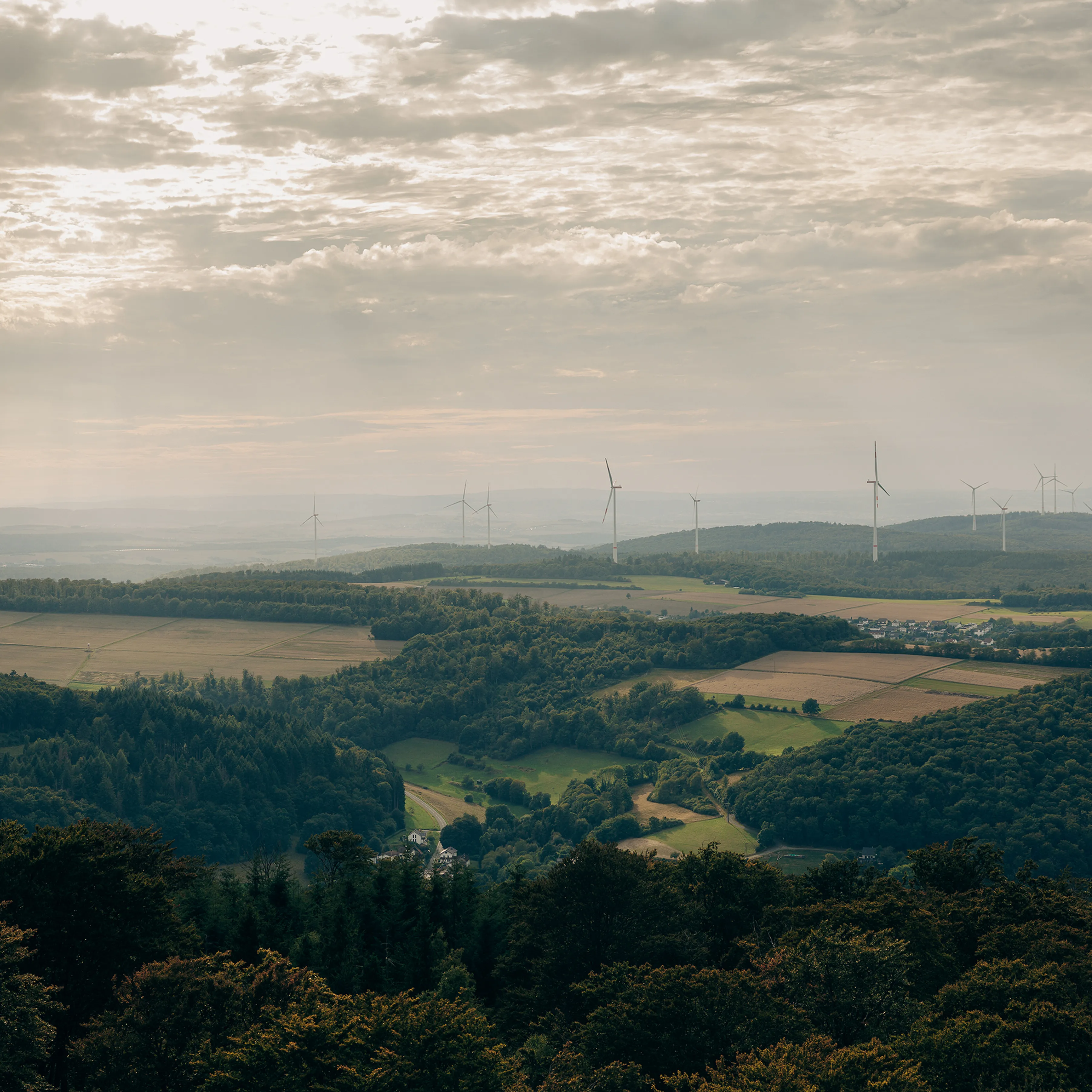 Adam hall group sustainability