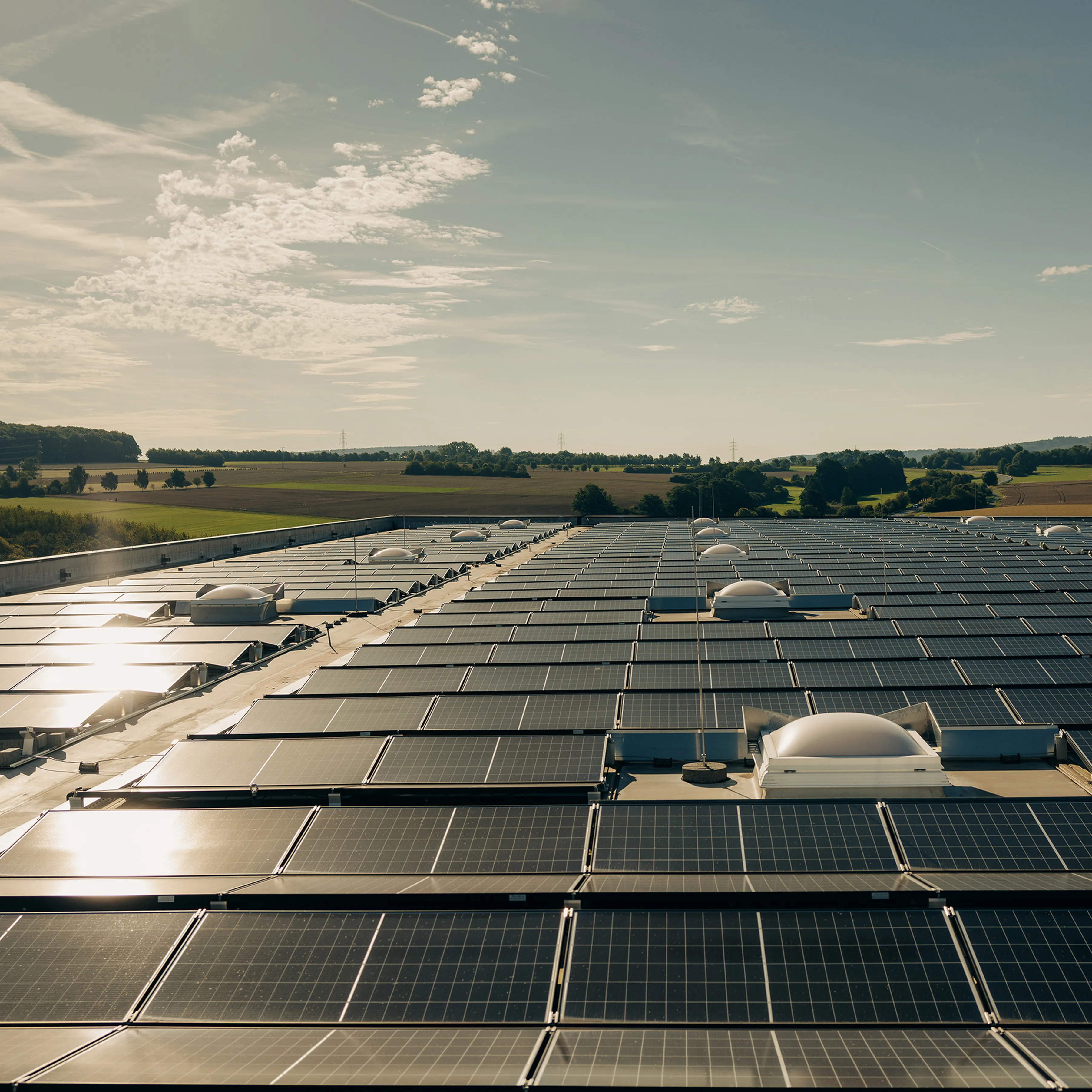 Adam hall group climate