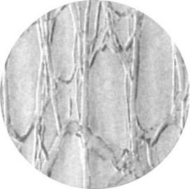 Cameo rosco strukturgobo 1