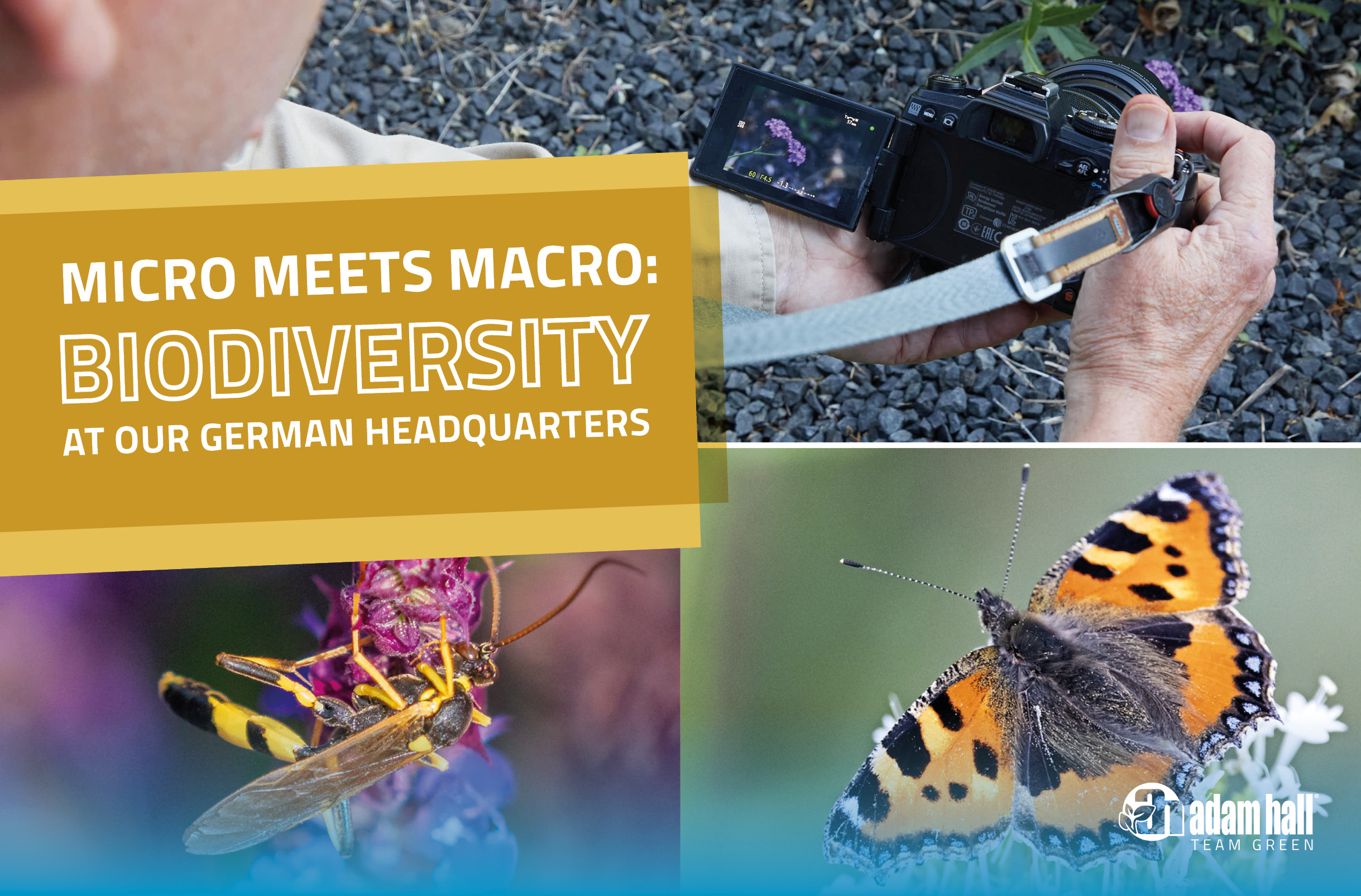 AHG_Biodiversität_Interview