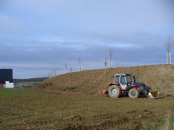 Ahg bepflanzung des erdwalls im norden