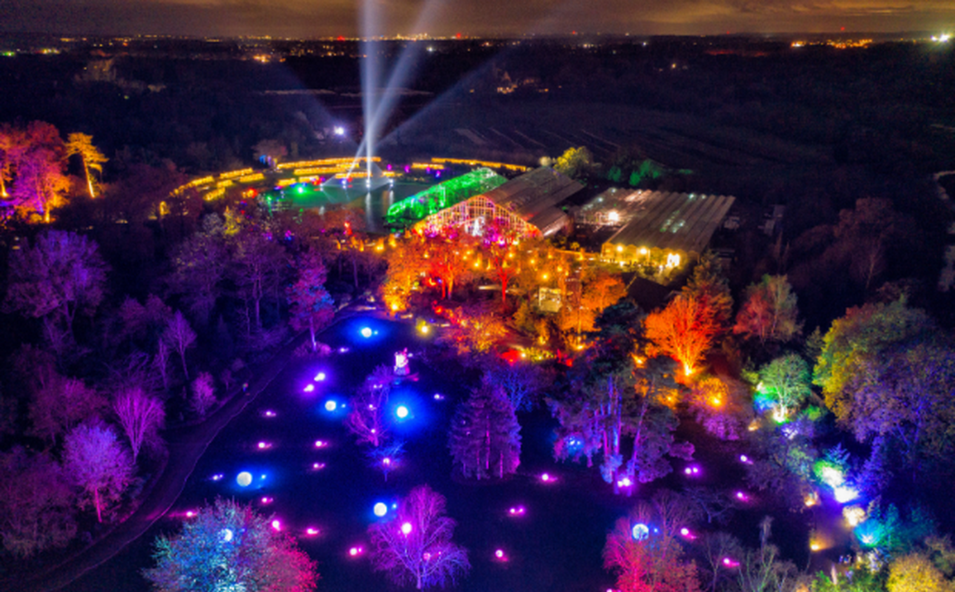 Cameo_illuminated-gardens_Royal-Horticultural-Society