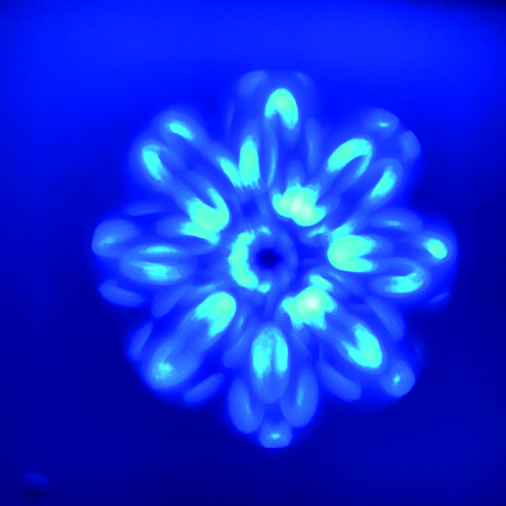 Animationwheel color gobo bearbeitet