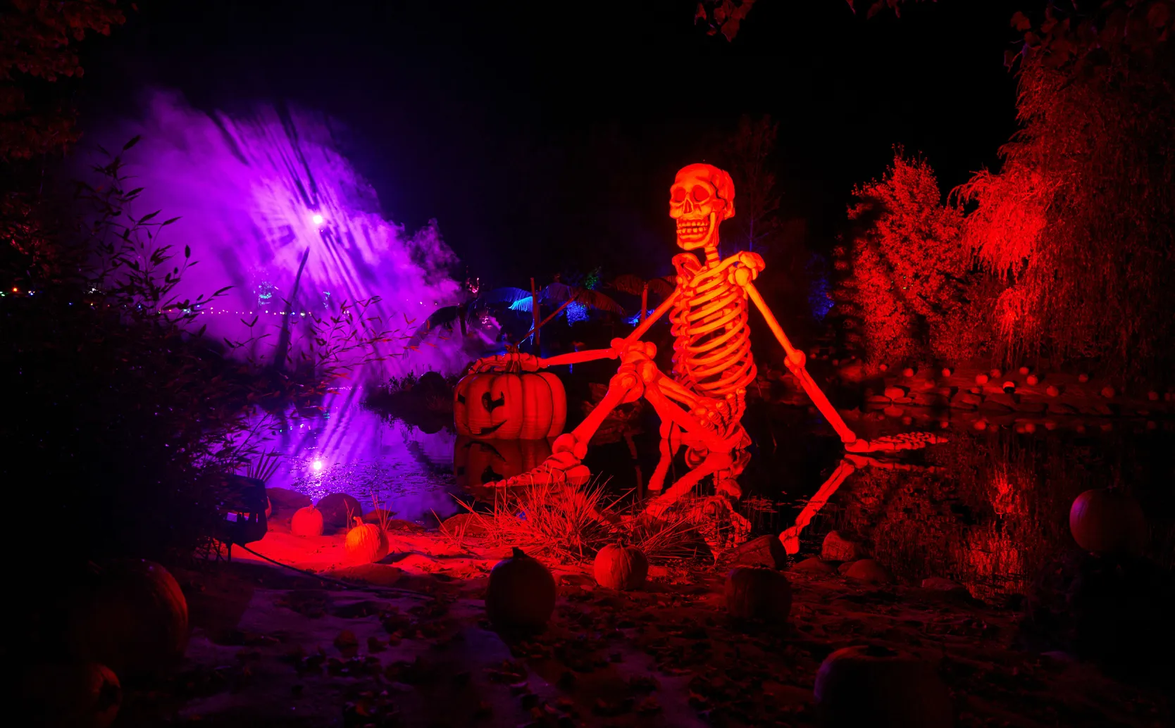 Cameo djurs sommerland 1